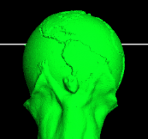 ģ