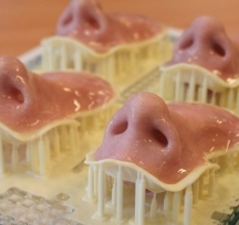 Ӣ(gu)Fripp DesignƳ3Dӡټw